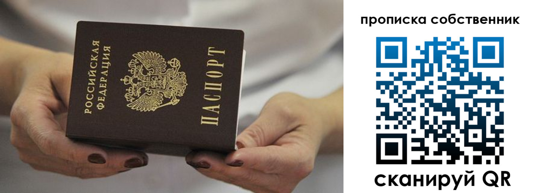 прописка поиск в Апатитах